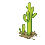 cactus